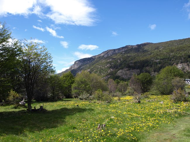 ../../Pictures/231209/088 Nationalpark Tierra del Fuego.JPG